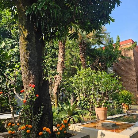 Casa Limon Malinalco Hotel Buitenkant foto