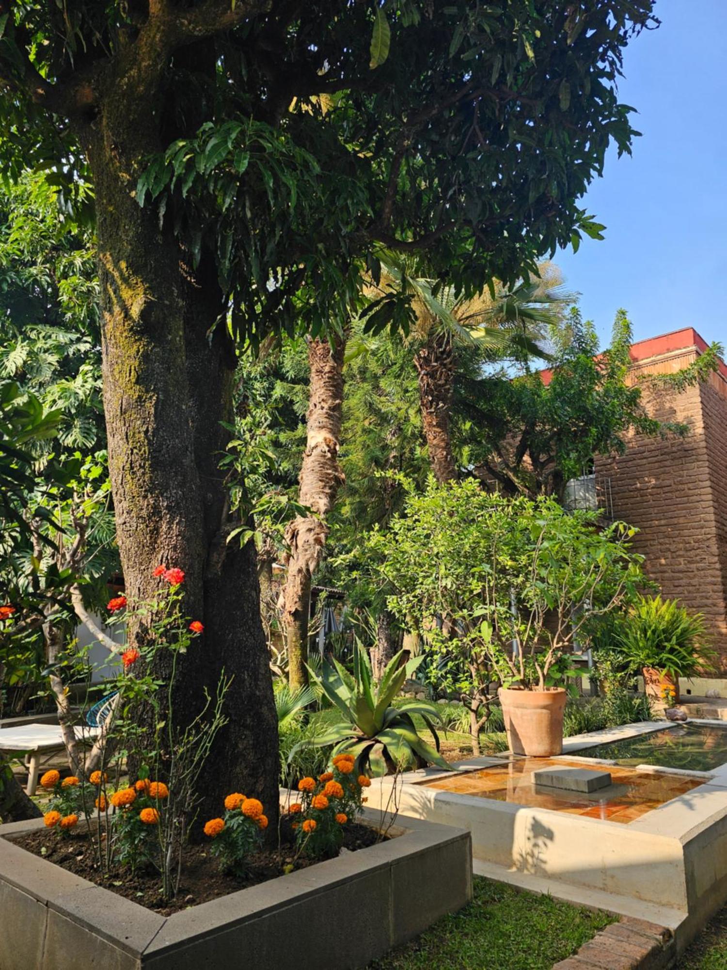 Casa Limon Malinalco Hotel Buitenkant foto