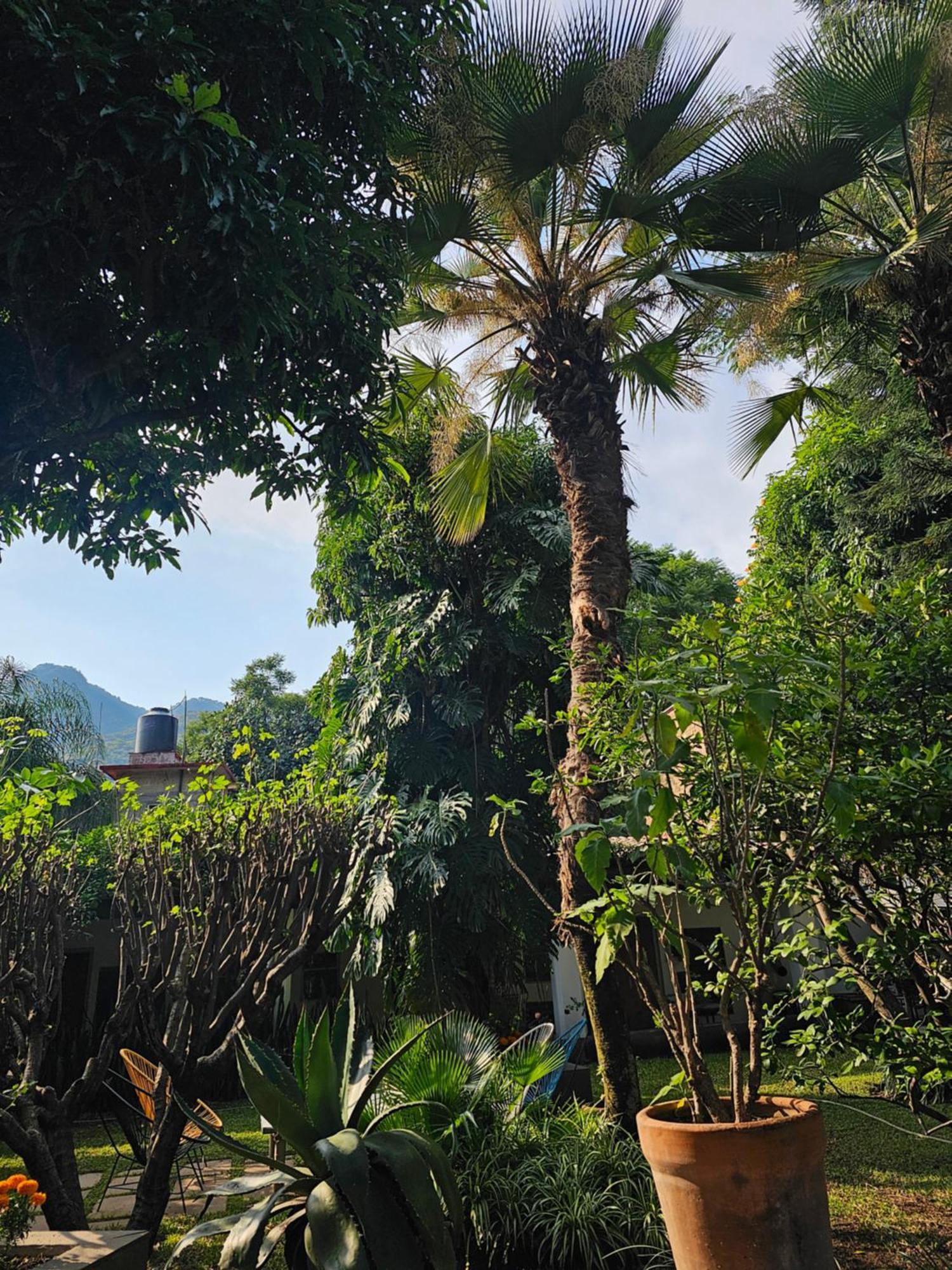 Casa Limon Malinalco Hotel Buitenkant foto